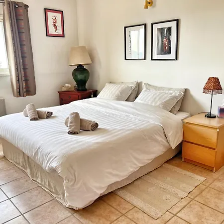 Les Oliviers, Climatisée, Piscine Privée Vue Villa Ollioules